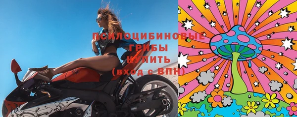 а пвп мука Болотное